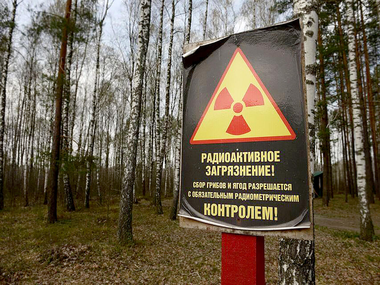 Что нужно знать при заготовке дров?